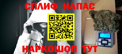гидра Гусев