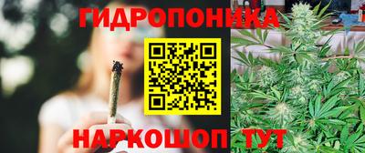 гидра Гусев
