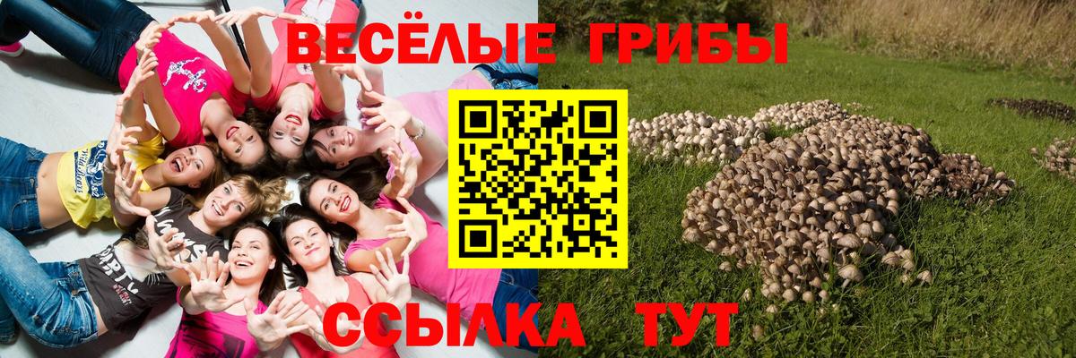 Галлюциногенные грибы ЛСД Нижневартовск